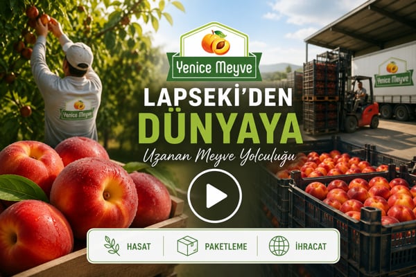 Image Newsletter